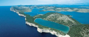 (Hrvatski) telascica dugi otok 2